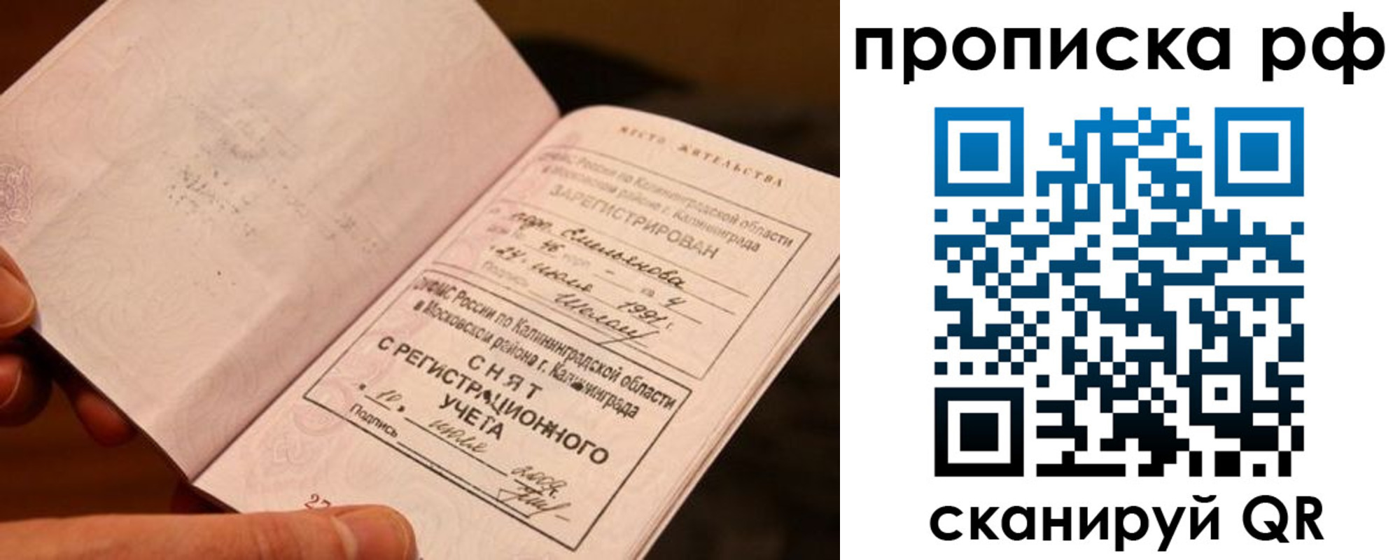 прописка гарантия в Саратовской области